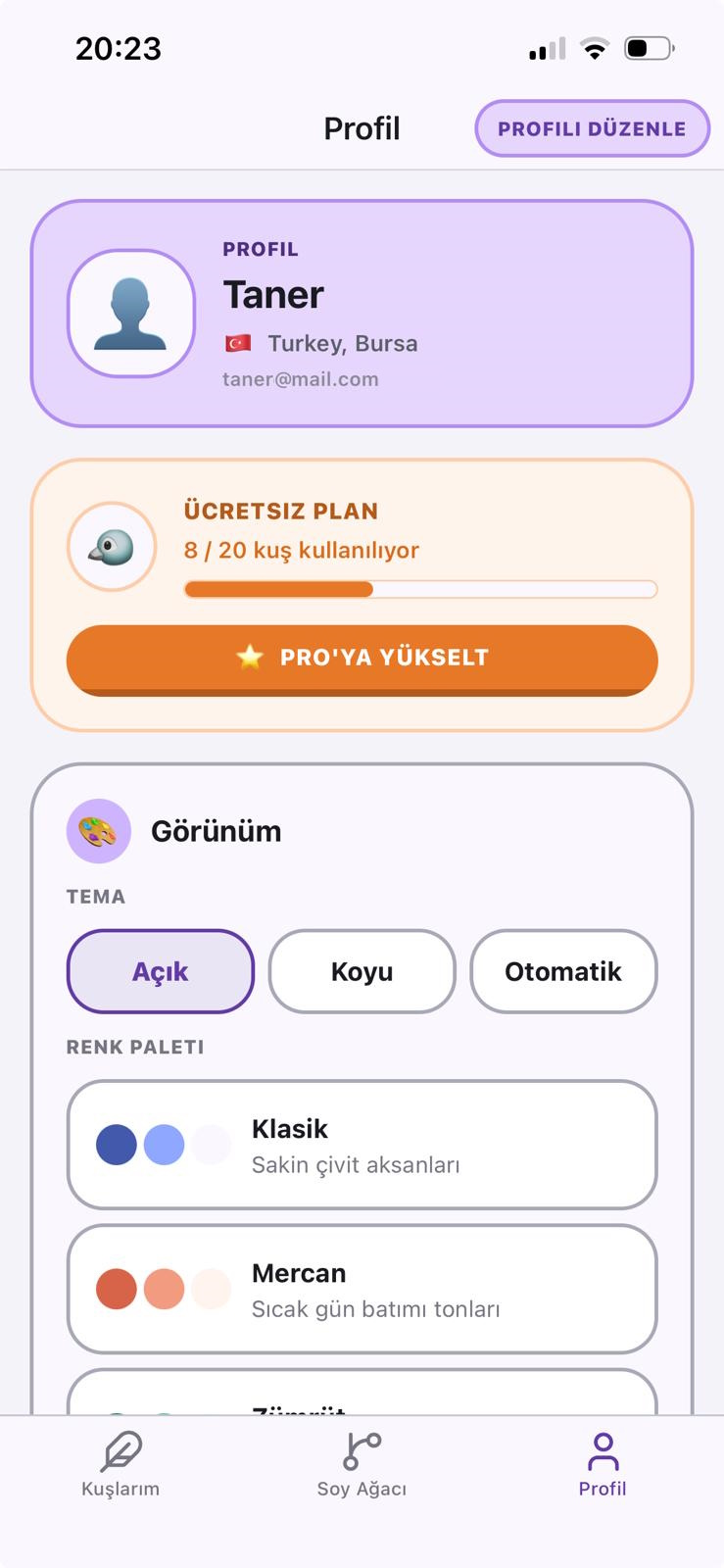 Profil ve renk paleti ayarları